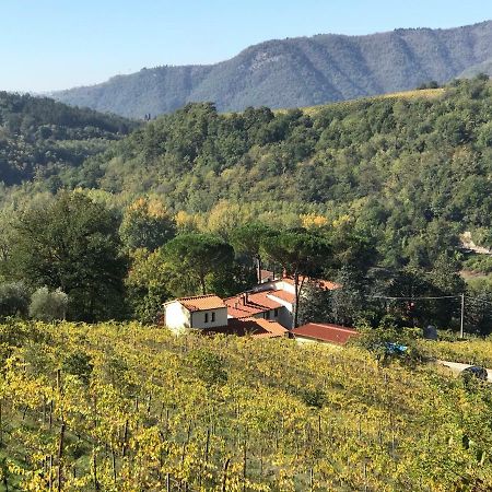 Appartement Il Poggiolo Ai Casini à Scopeti Extérieur photo